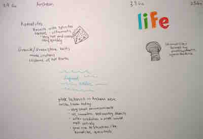 evolution of the earth timeline thumbnail