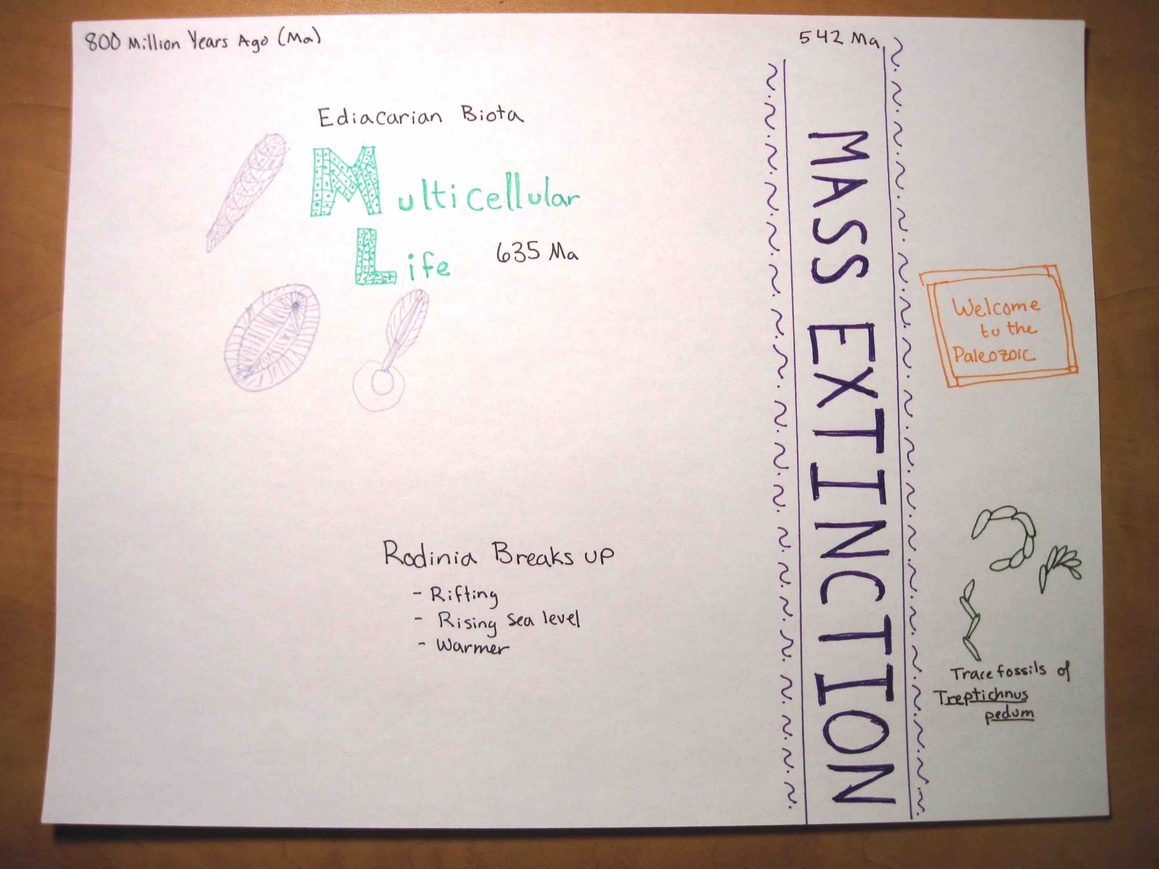 evolution of the earth timeline thumbnail