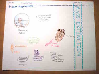 evolution of the earth timeline thumbnail