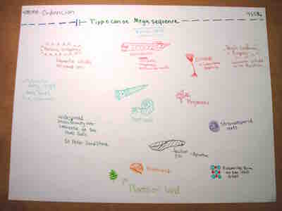 evolution of the earth timeline thumbnail